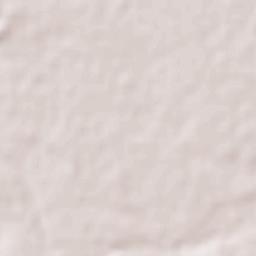 El Carmen de los Elizondo Terrain Map