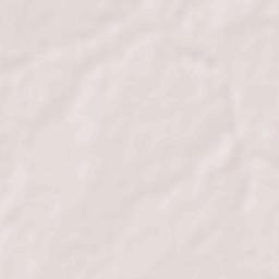 Badarwas Terrain Map