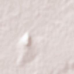 Estación Chimaneco Terrain Map