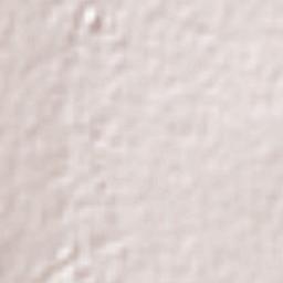 Aquiles Serdán Terrain Map