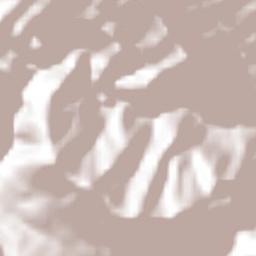 La Lagunita Terrain Map