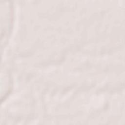 Bijrauni Terrain Map