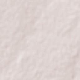 Adolfo López Mateos (El Tamarindo) Terrain Map