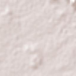 El Limón de los Ramos Terrain Map