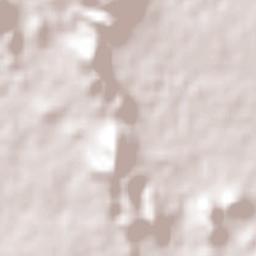 La Palmita y Anexos (La Presita) Terrain Map