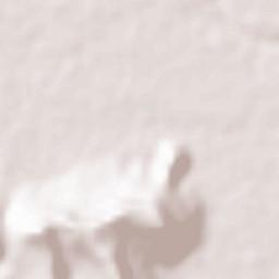 Barokhar Terrain Map