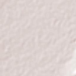 Nuevo Ideal Terrain Map