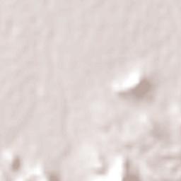 Cuencamé de Ceniceros Terrain Map