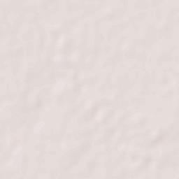 Rafiganj Terrain Map