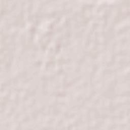 Navolato Terrain Map