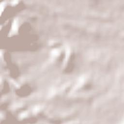 Diez de Octubre Terrain Map