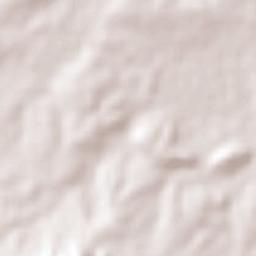 Cruillas Terrain Map