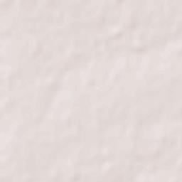 Baikunthpur Terrain Map