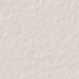 Colonia Michoacana Terrain Map