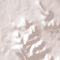 Caja Pinta Terrain Map