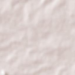 La Reforma Terrain Map