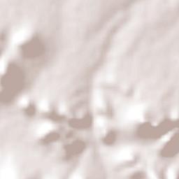 Cuencamé Terrain Map