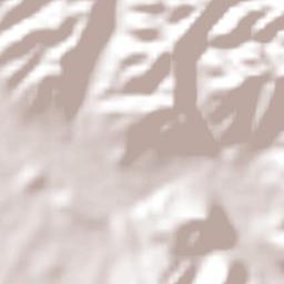 San Carlos Terrain Map