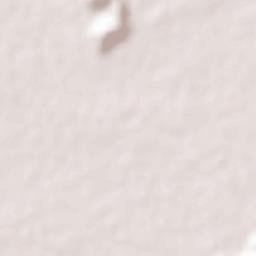 Wangjing Terrain Map