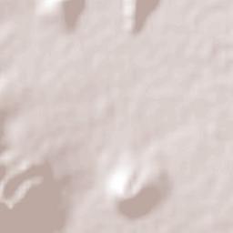 Canatlán Terrain Map