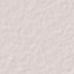 José Guadalupe Aguilera (Santa Lucía) Terrain Map