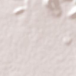 Venustiano Carranza Terrain Map