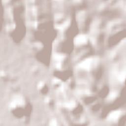 Ricardo Flores Magón Terrain Map