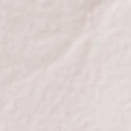 Ignacio Allende Terrain Map