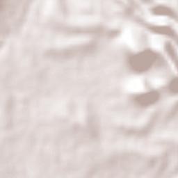 Santa Clara Terrain Map