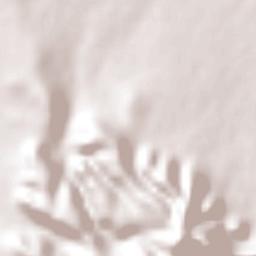 Emiliano Zapata Terrain Map