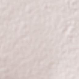 Jesús María Aguirre Galeana Terrain Map