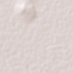 Nicolás Bravo Terrain Map