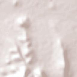 Francisco I. Madero Terrain Map