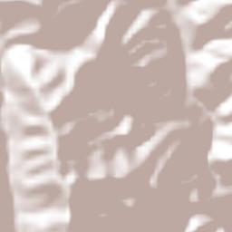 El Rucio Terrain Map