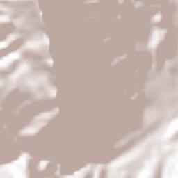 Ibarrilla Terrain Map