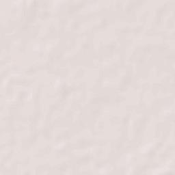 Rajshahi Terrain Map