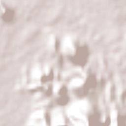 San Francisco de Tacuichamona Terrain Map