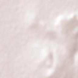 Felipe Carrillo Puerto Terrain Map