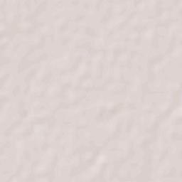 Guadalupe Victoria Terrain Map