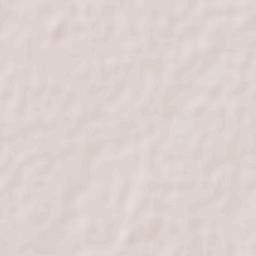 Estación Obispo Terrain Map