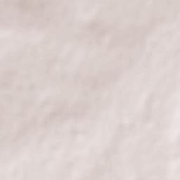 Cuauhtemoc Terrain Map