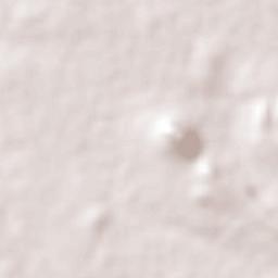 Juan Aldama Terrain Map