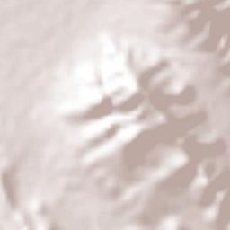 La Ascensión Terrain Map