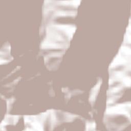 Cañón de Vacas Terrain Map