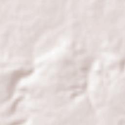 Shahgarh Terrain Map