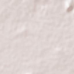 Higueras de Abuya Terrain Map