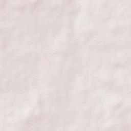 Bakshwaho Terrain Map