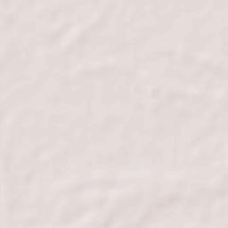 Bājitpur Terrain Map