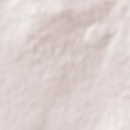 Ramón Corona Terrain Map