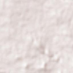 Singrauli Terrain Map